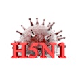 Avian Flu H5 N1