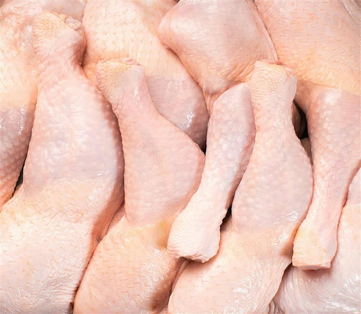 Superior Foods opens new poultry plant in Serbia
