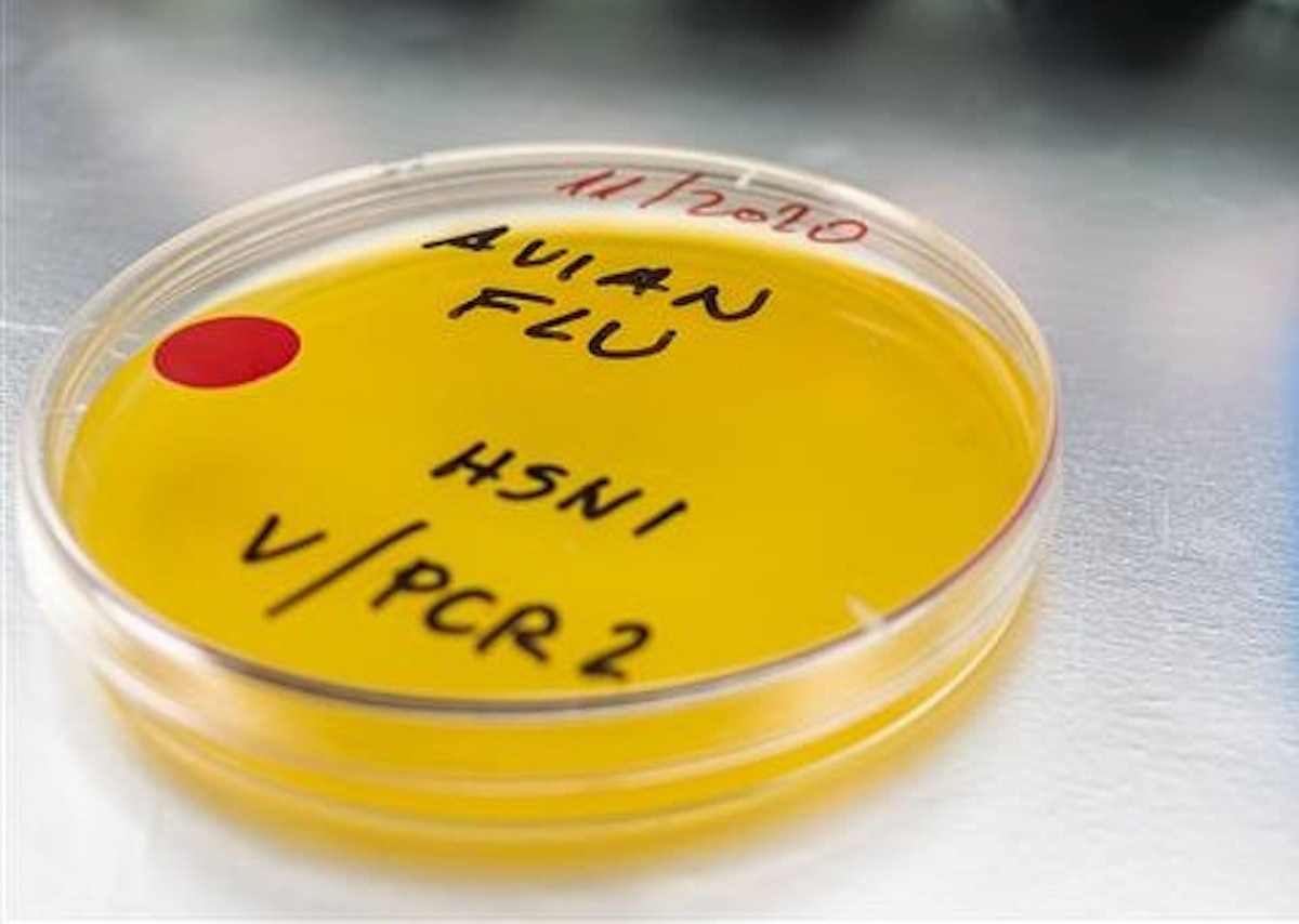 Avian flu still spreading in Indiana ducks