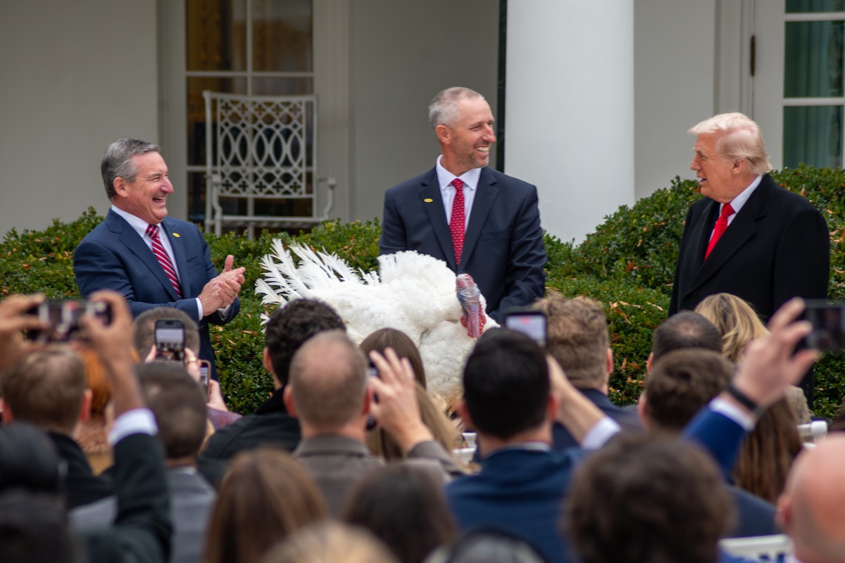 President pardons North Carolina turkeys Gobble and Waddle