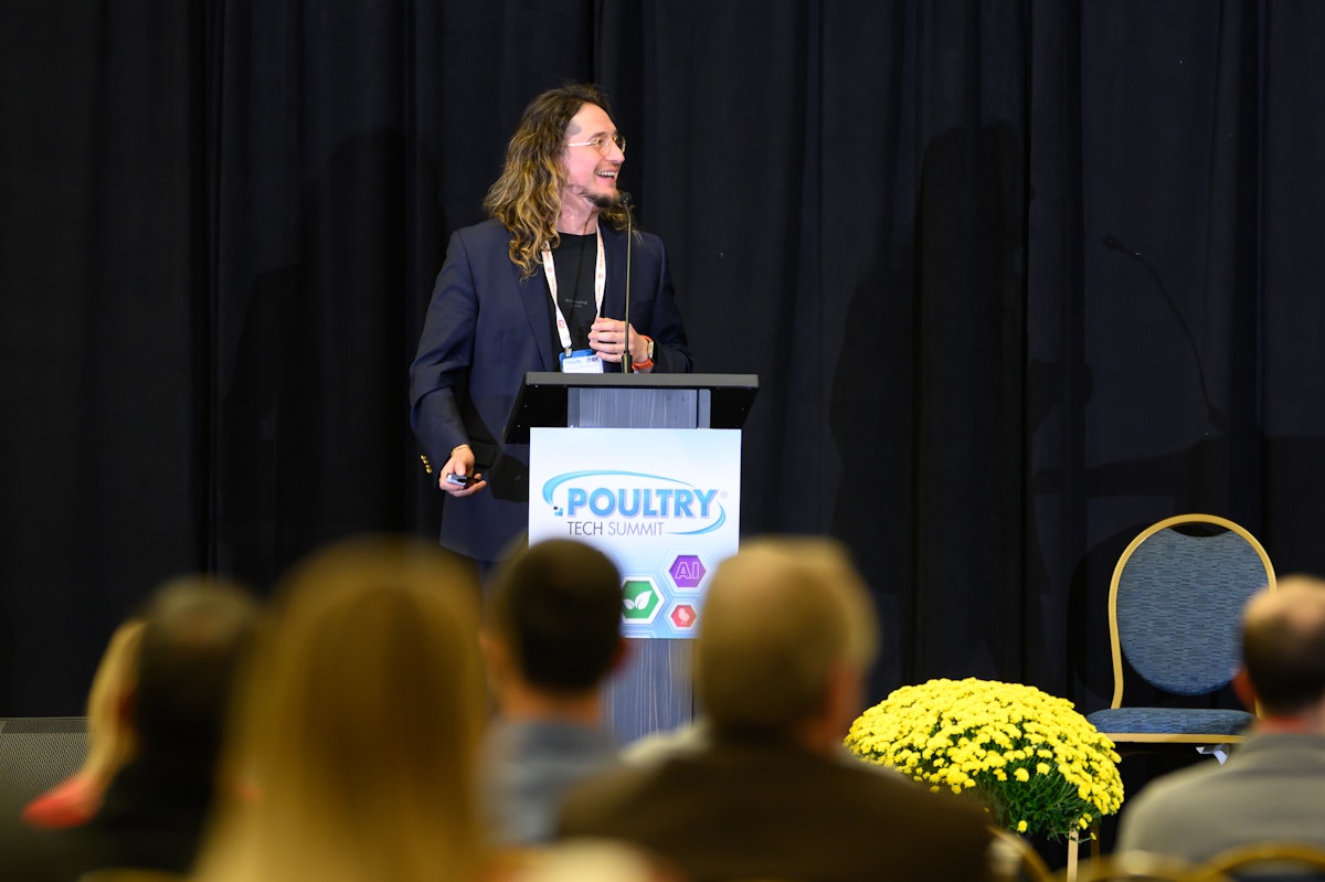 Bacteriophage technology could reduce Salmonella in poultry