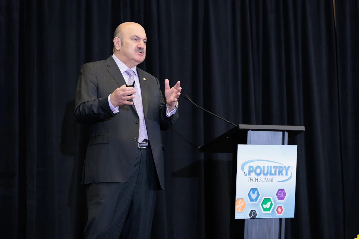 AI-forward chick sorting might simplify hatchery operations - Birdtastic