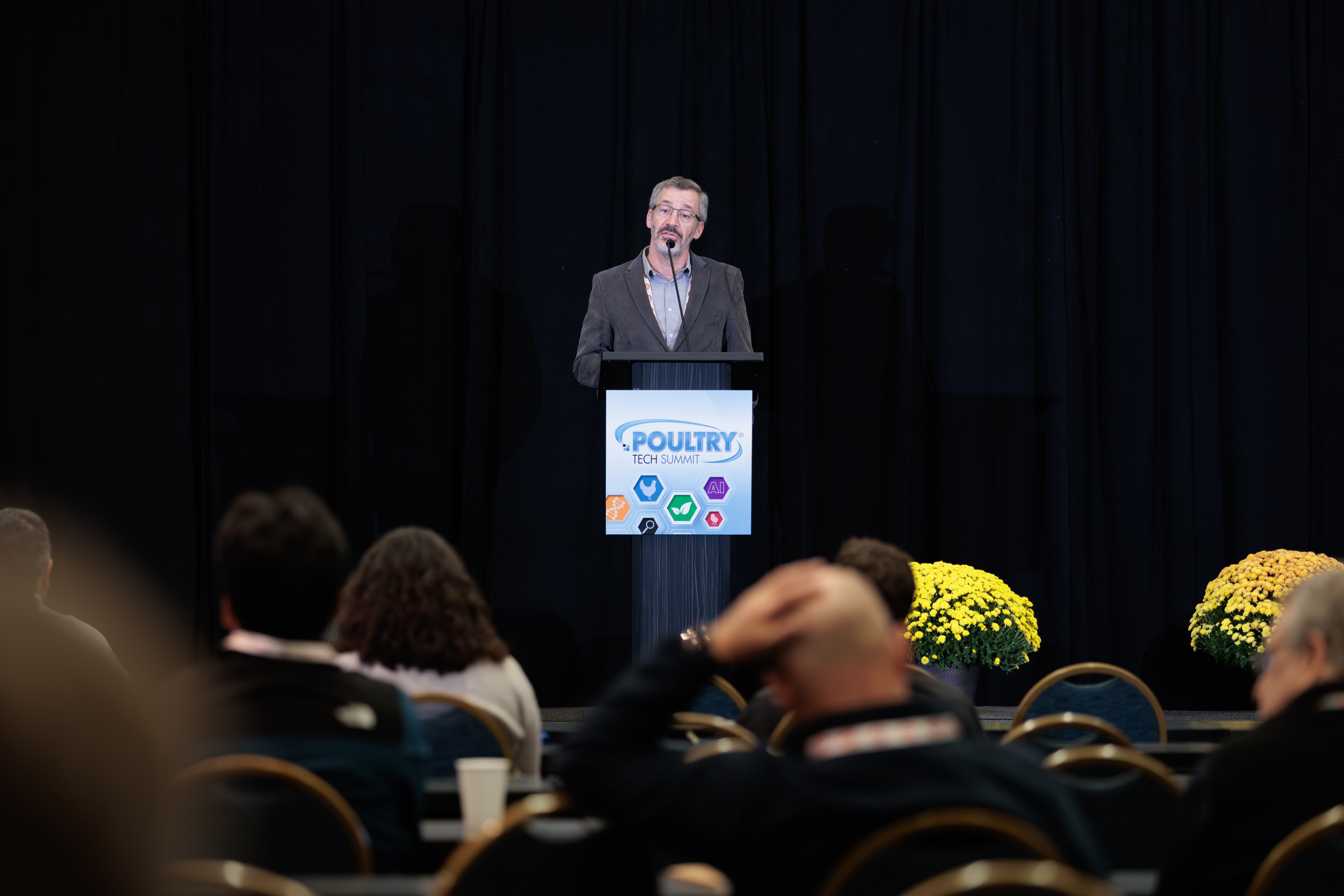 Molecule could boost phosphorus absorption in poultry diets