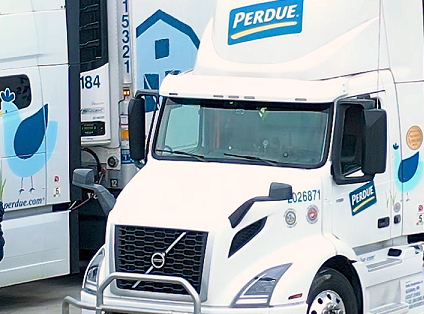 Perdue driver dies in Chesapeake Bay Bridge-Tunnel accident