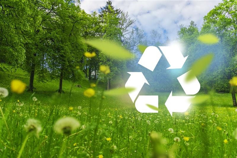 Poultry packaging shifts toward recyclability, convenience