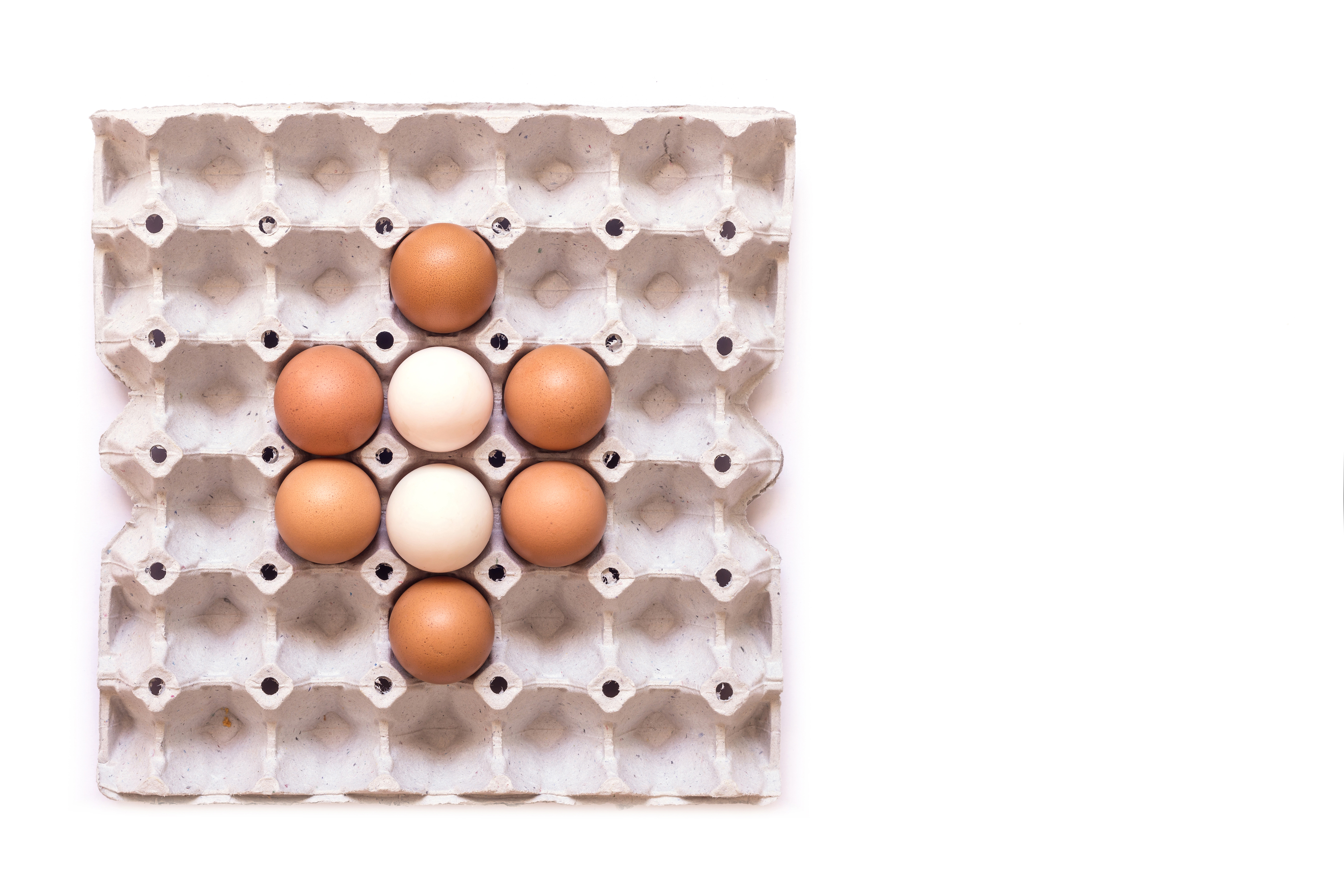 What factors are defining the US egg market in 2026?