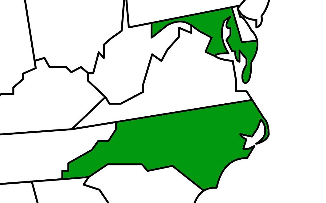 Avian flu claims North Carolina hens, Maryland broilers