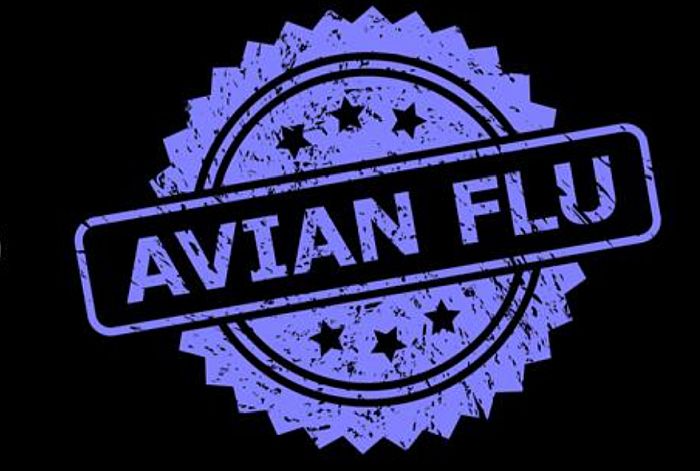 2 European countries record new farm avian flu outbreaks