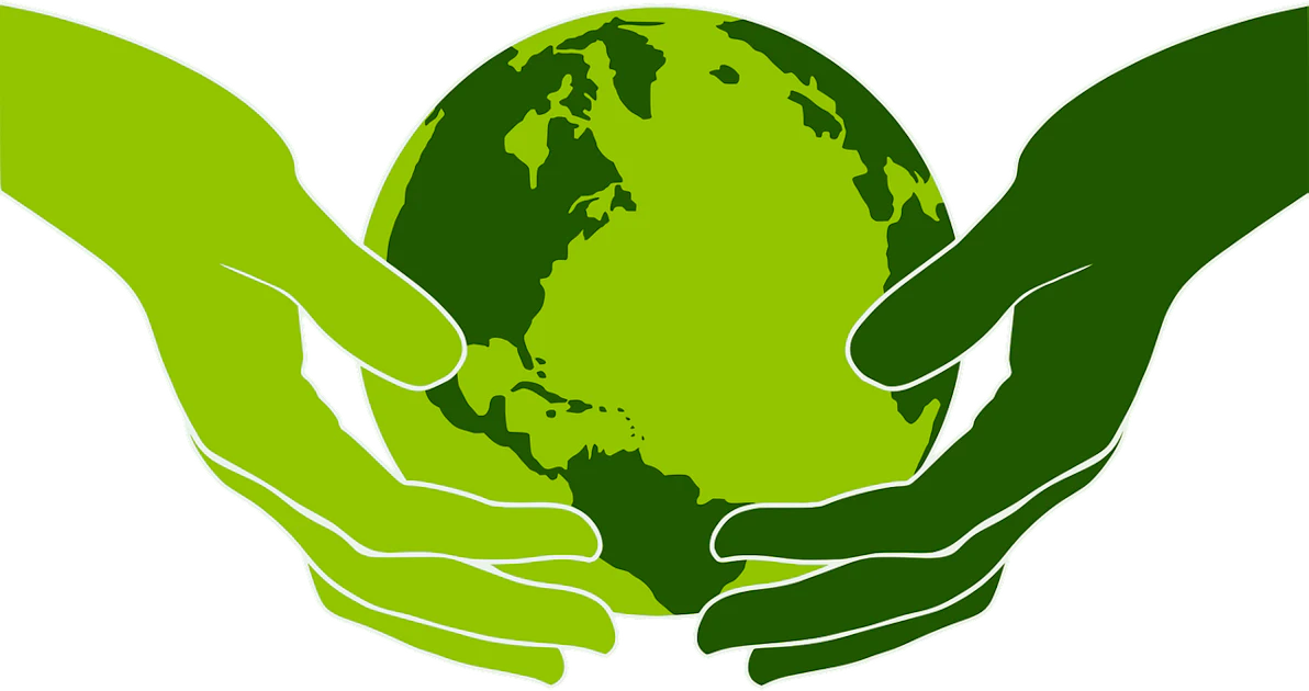 Cranswick launches plan to transition to Net Zero