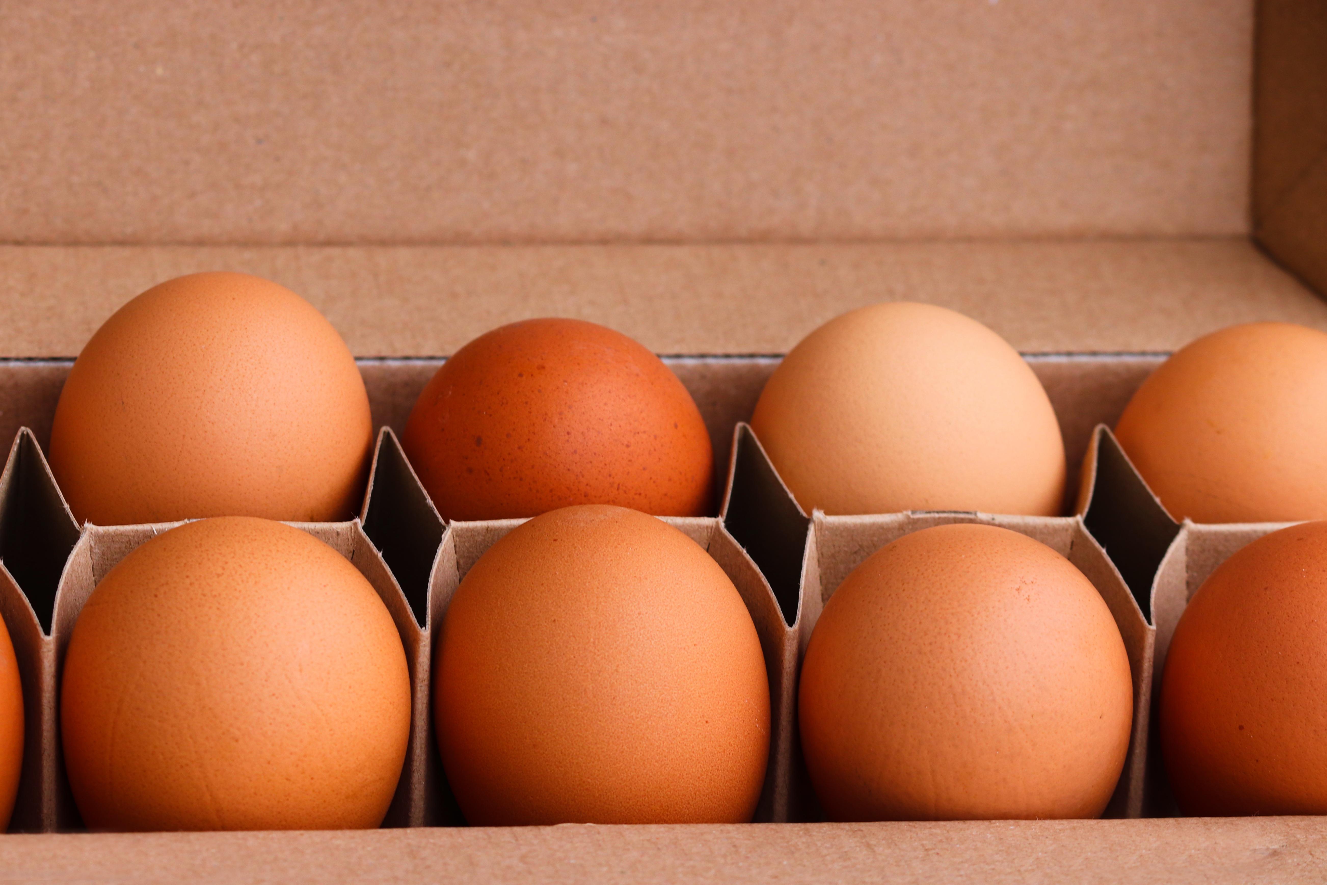 New program helps egg producers cut carbon emissions