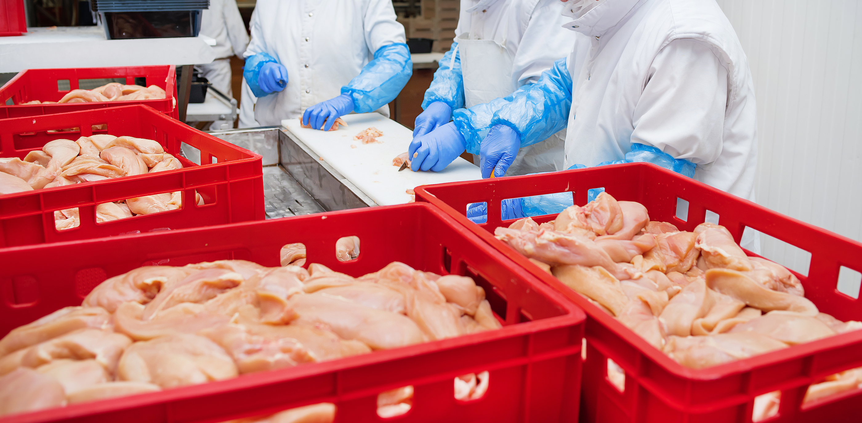 Why energy costs are climbing for poultry processors