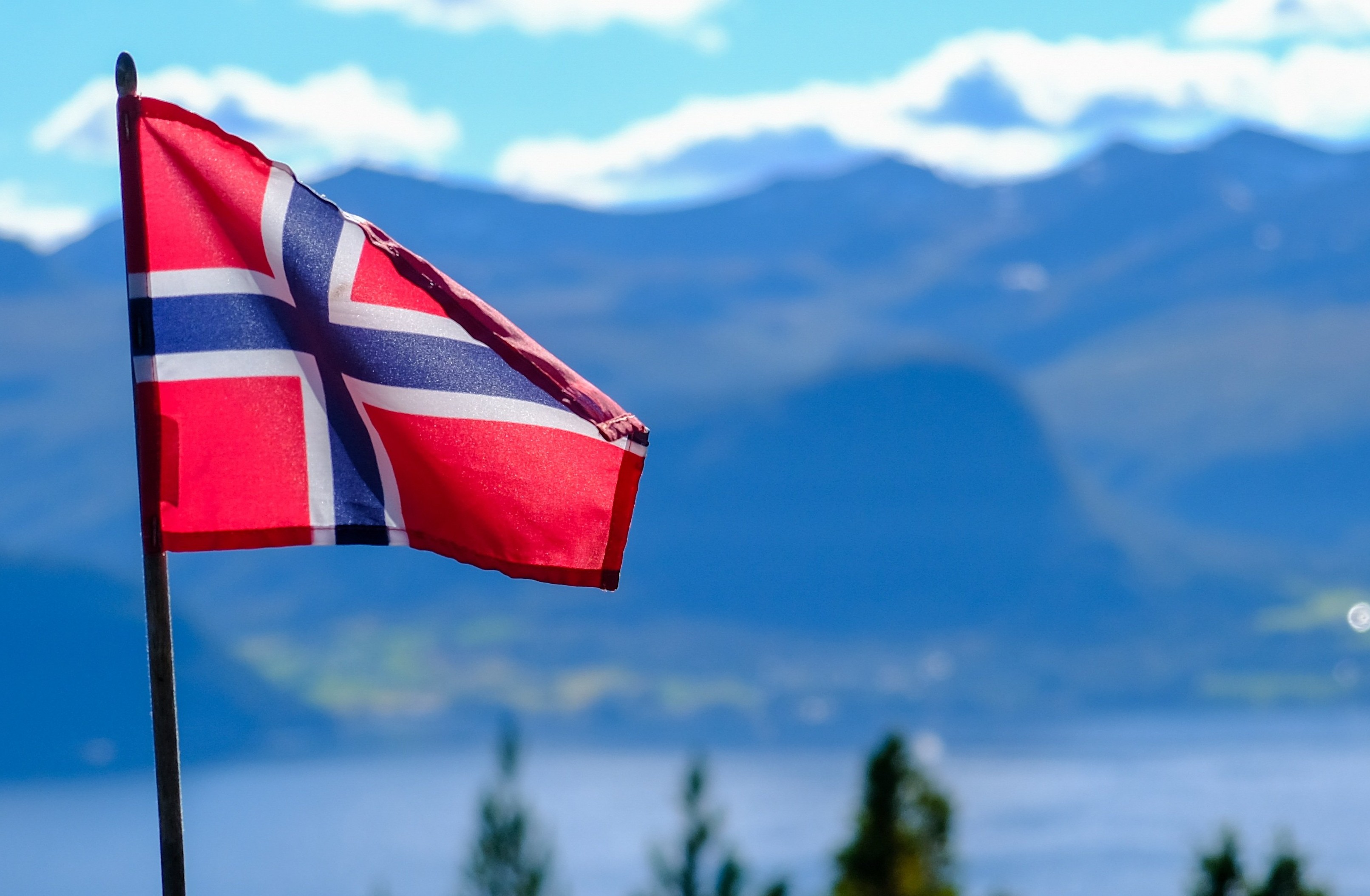 Norway has first infectious laryngotracheitis case in 55 years