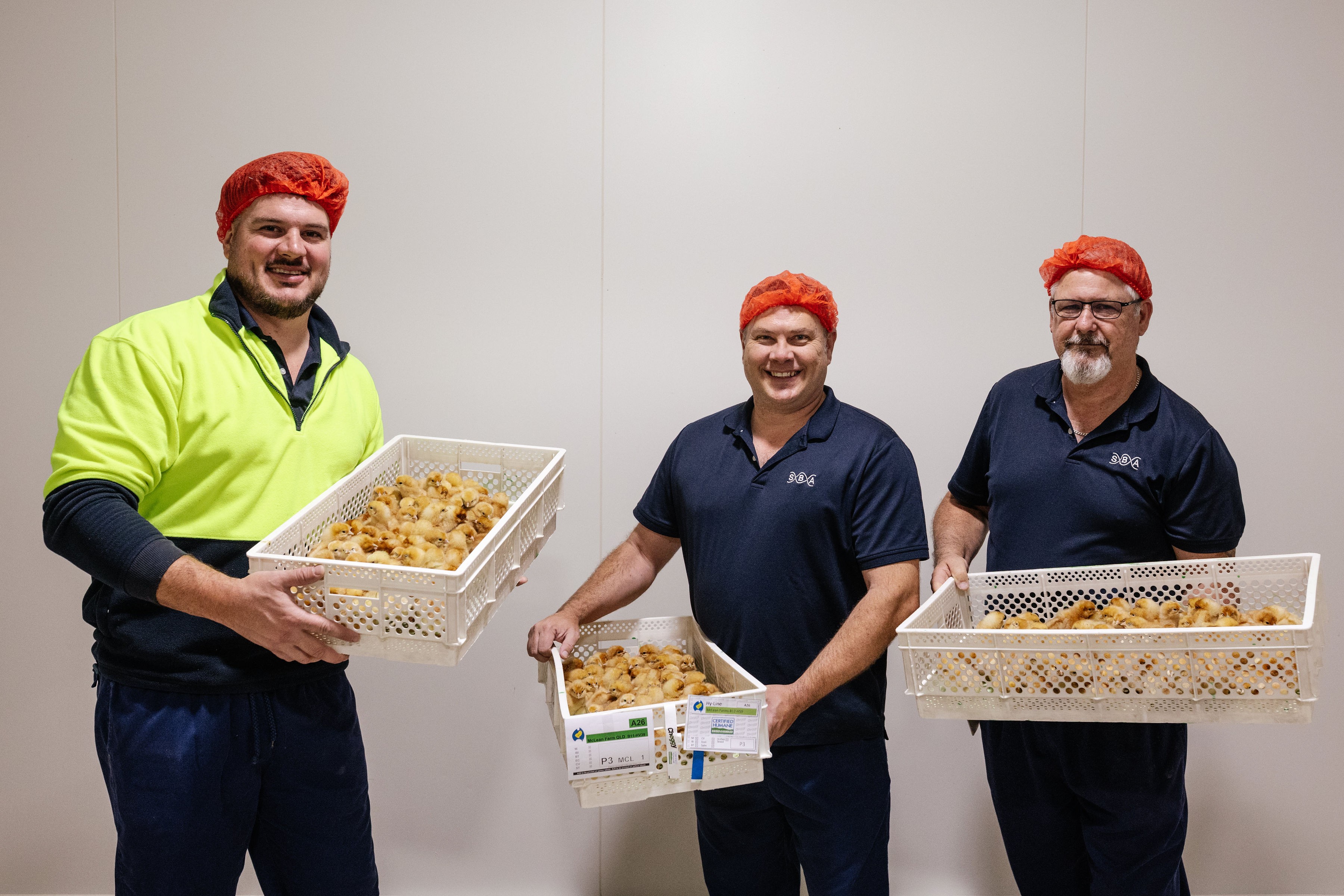 SBA delivers Australia's first in-ovo sexed chicks