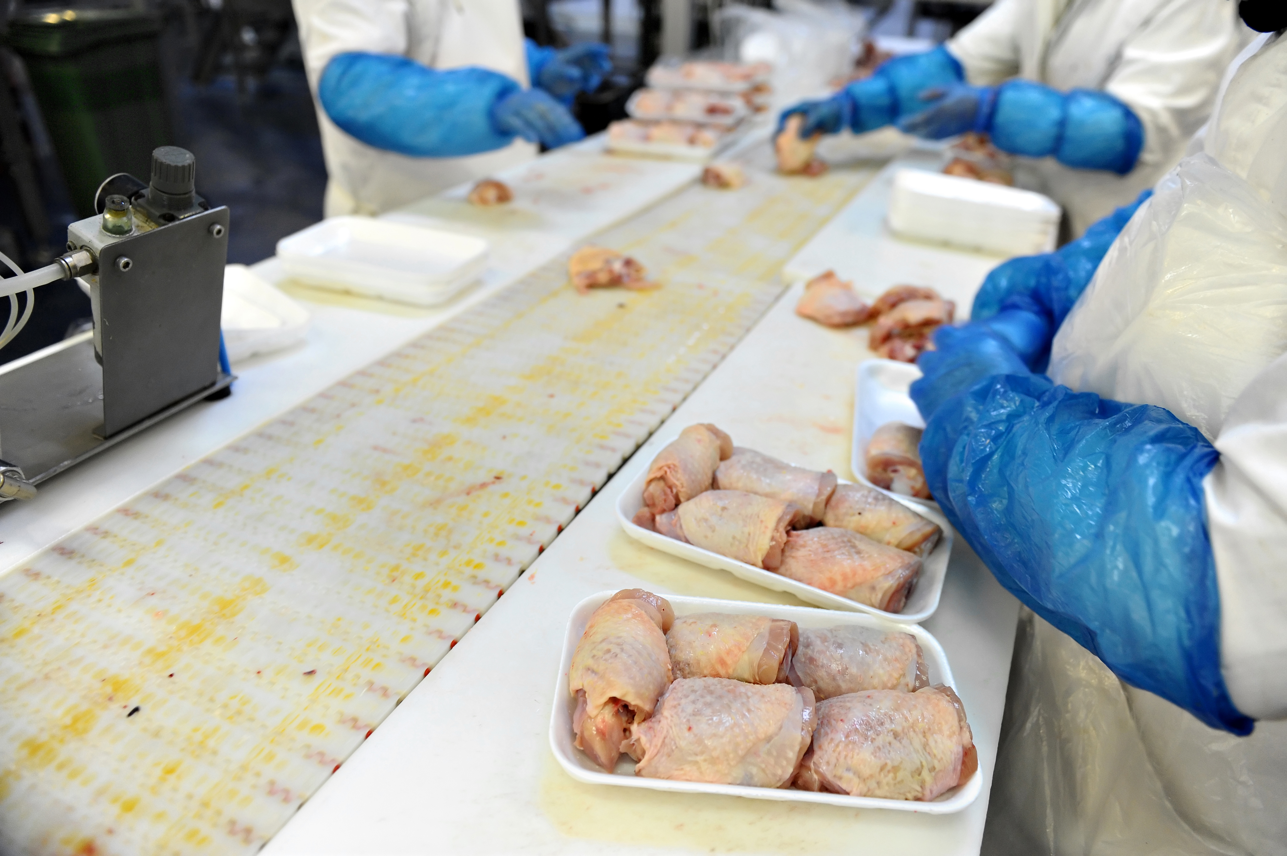 HACCP planning essentials for small poultry processors