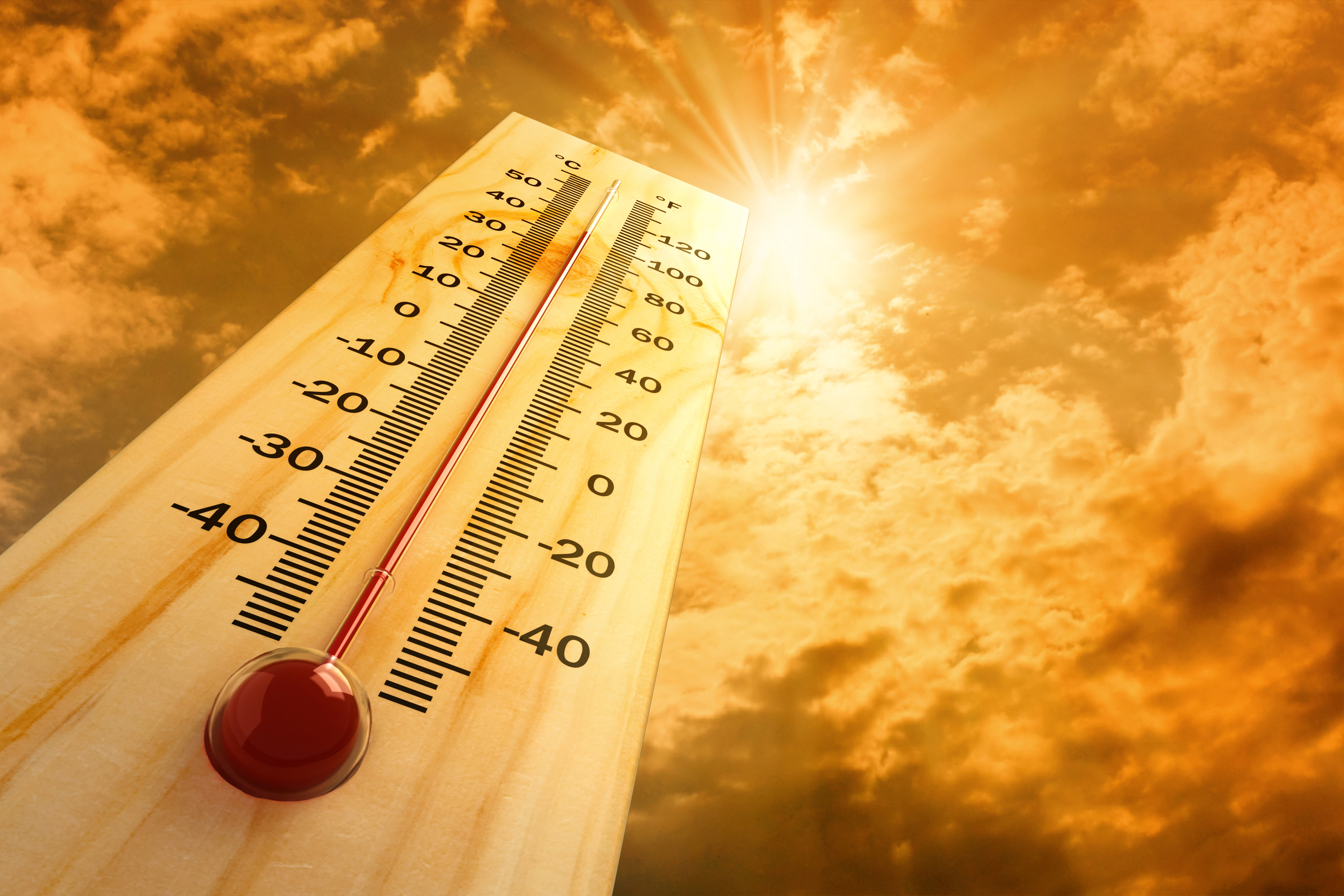 Heat waves could put poultry cold chain safety at risk