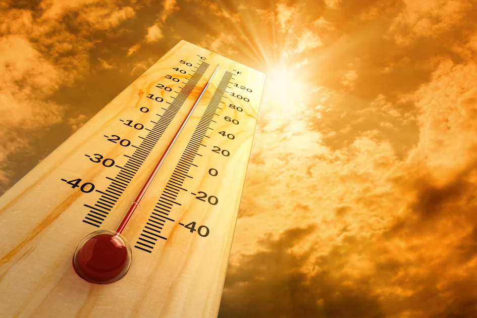 Heat waves could put poultry cold chain safety at risk