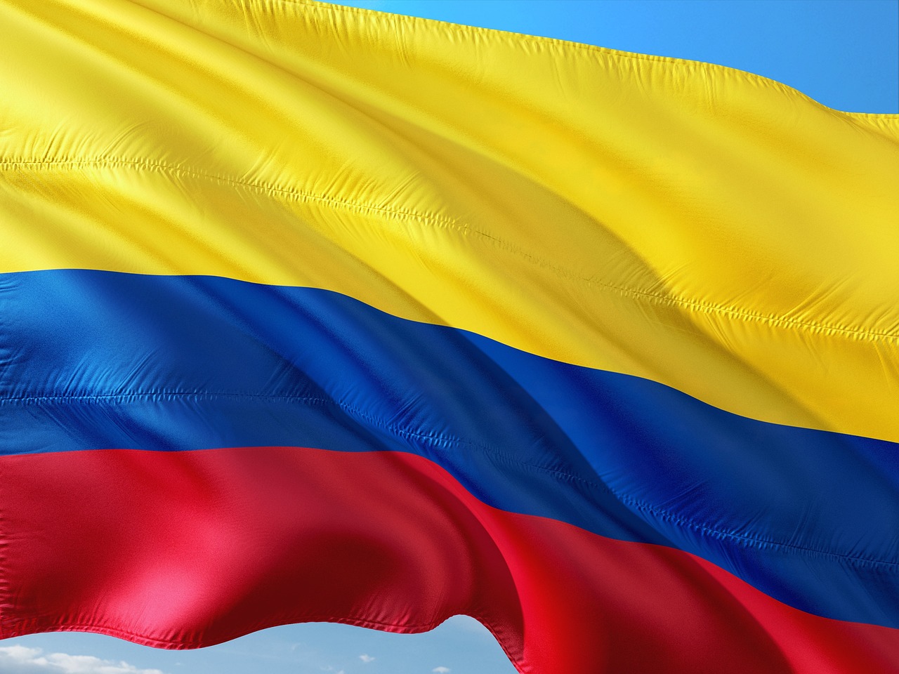 Colombia deemed free of avian influenza