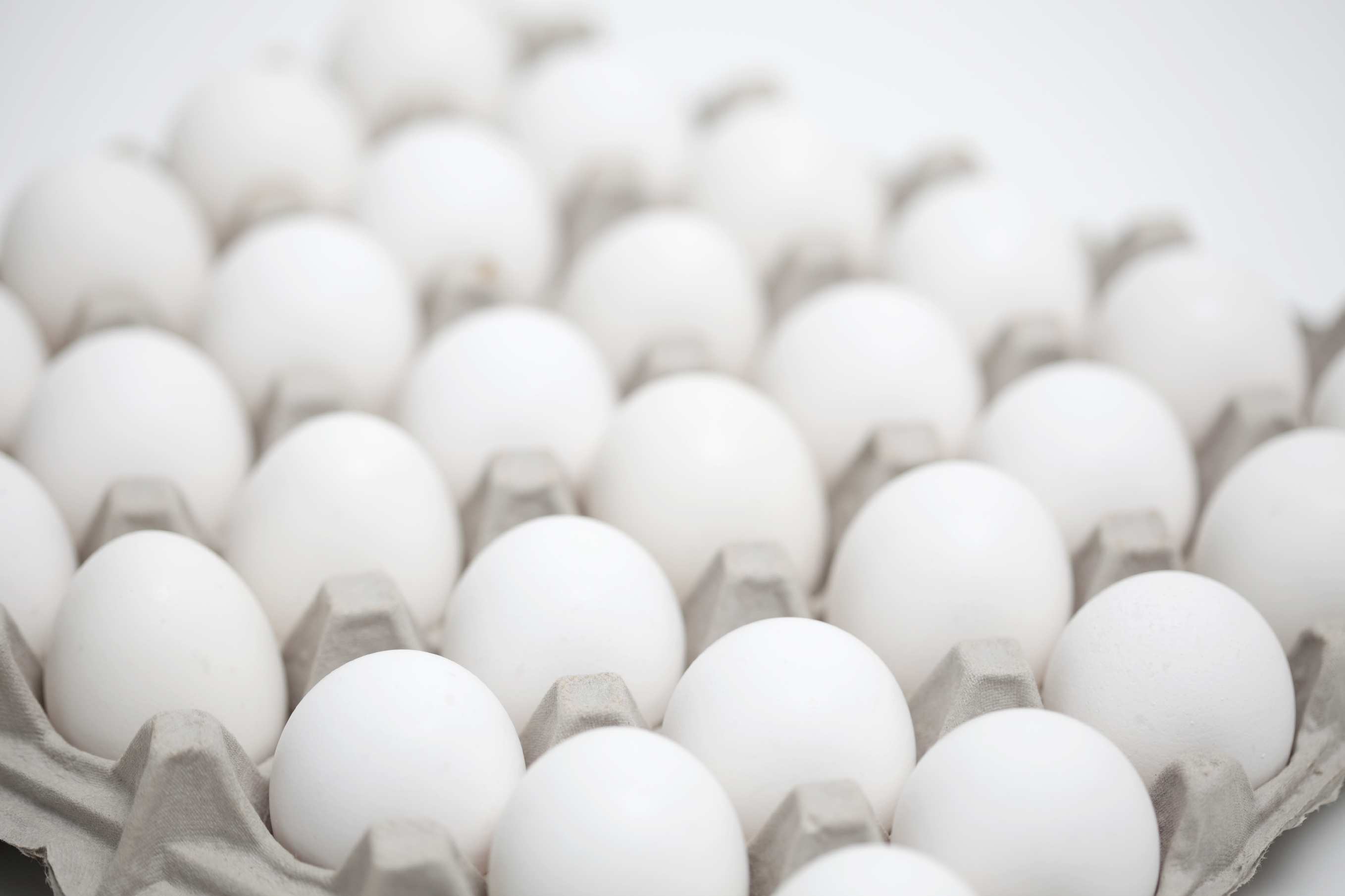 US egg prices hit 20-year lows as feed costs expected to rise ...