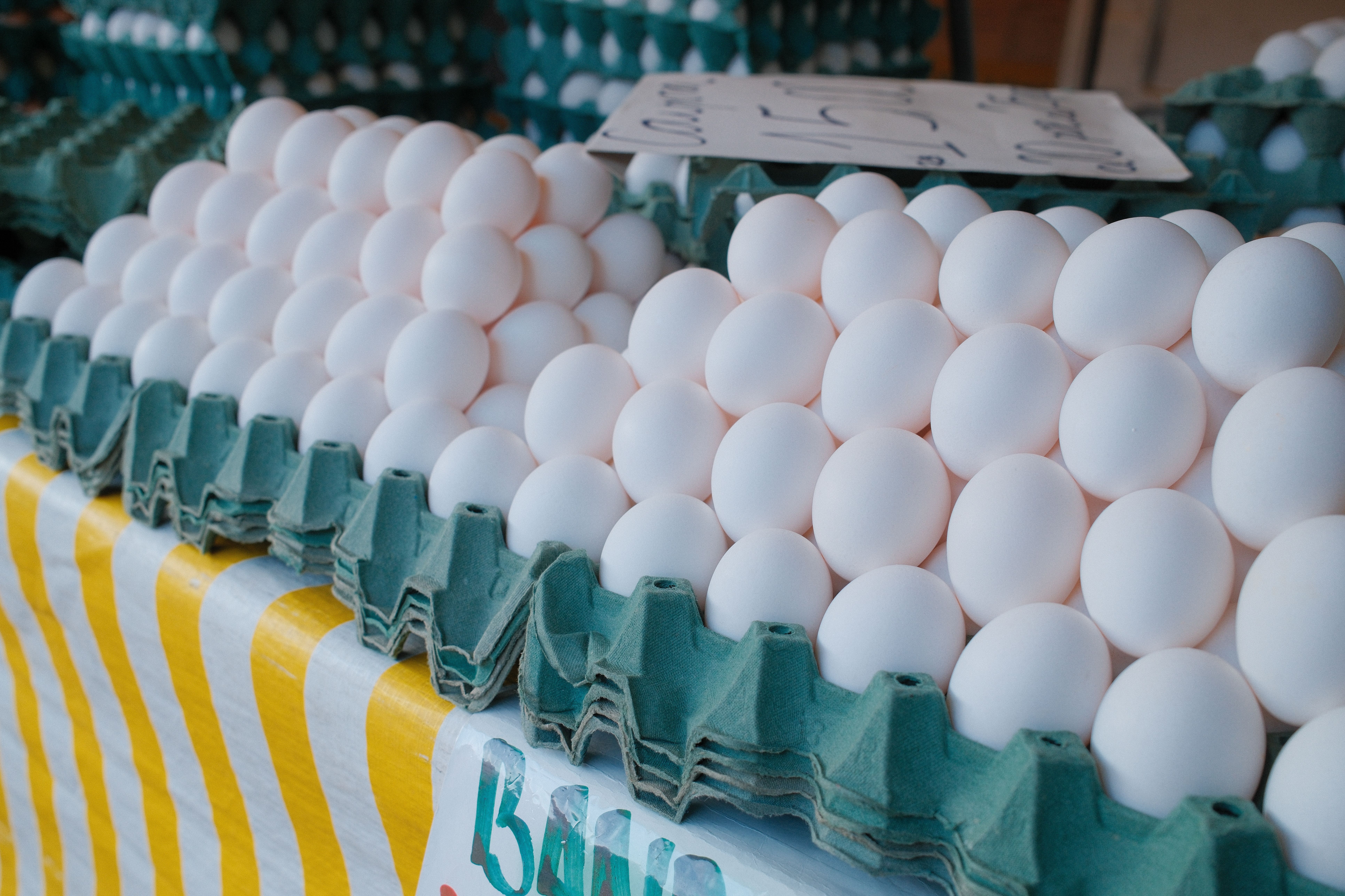 Brazil’s 2026 egg exports continue to rise | WATTPoultry.com