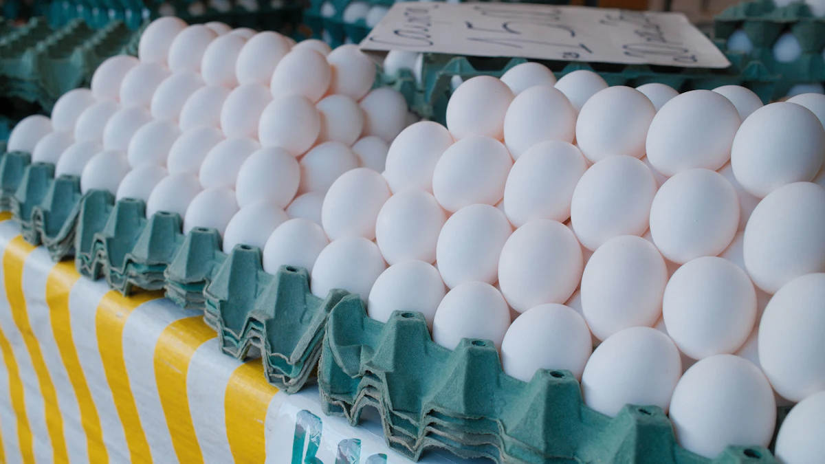 Mindful Rise Brazil’s 2026 egg exports continue to rise | WATTPoultry.com