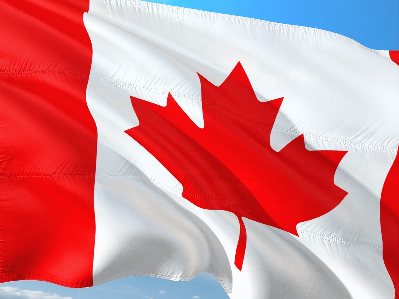 Spent fowl fraud persists as Canada works toward a fix | WATTPoultry.com