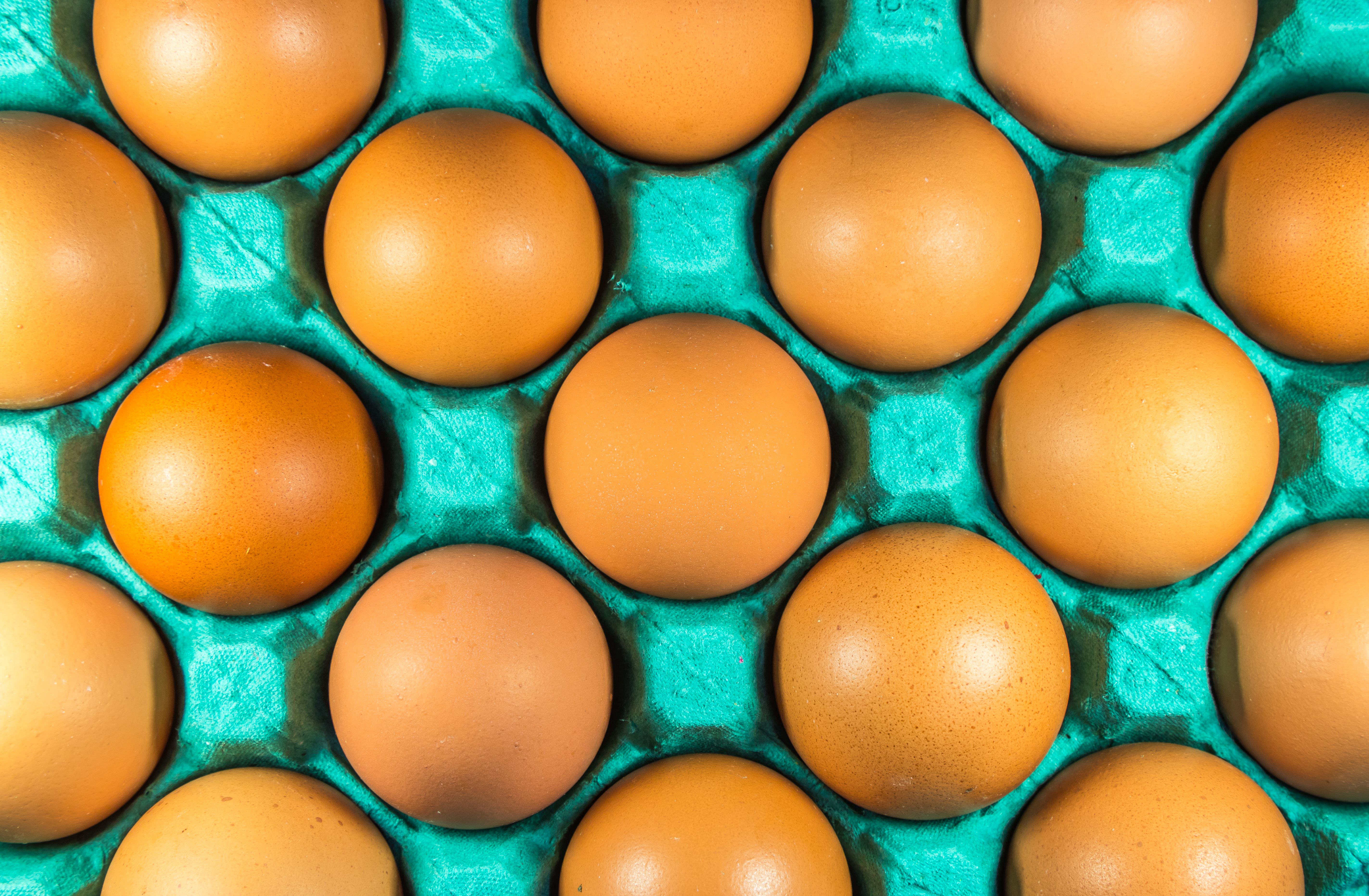 Egg producer group formed in Norther Ireland | WATTPoultry.com